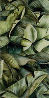 Фото Ceramika Paradyz декор Natura Inserto Szklane Leaf A 30x60