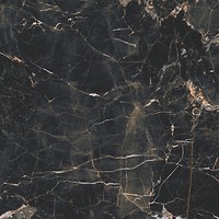 Фото Cerrad плитка Marquina Gold 59.7x59.7 (45258)