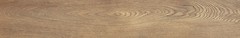 Фото Arte плитка для підлоги Entina Pueblo Wood Brown STR 19x119.8