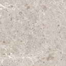 Фото Grespania плитка Artic Beige Natural 60x60 (82RC75R)