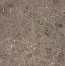 Фото Grespania плитка Artic Moka Pulido 59x59 (52RC25P)