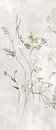 Фото Ragno ceramica декор Maiora Concrete Effect Decoro Botanical A 120x278 (R817)
