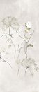 Фото Ragno ceramica декор Maiora Concrete Effect Decoro Botanical C 120x278 (R81D)