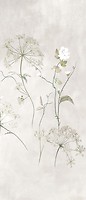 Фото Ragno ceramica декор Maiora Concrete Effect Decoro Botanical C 120x278 (R81D)