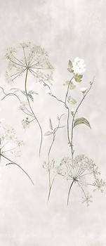 Фото Ragno ceramica декор Maiora Concrete Effect Decoro Botanical C 120x278 (R81D)