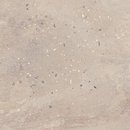 Фото Ceramika Paradyz плитка Desertdust Beige Struktura Mat 59.8x59.8