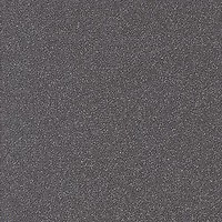 Фото Rako плитка підлогова Taurus Granit 69 Rio Negro чорний 19.8x19.8 (TR329069)
