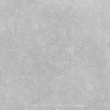 Фото Golden Tile плитка для підлоги Terragres Stonehenge сіра 60x60 (442П80)