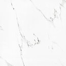 Фото Megagres плитка Carrara 6B6104 60x60