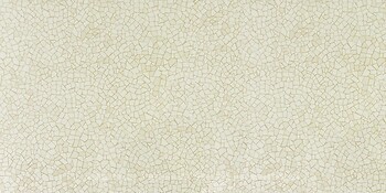 Фото RAK Ceramics плитка Rocket Beige 60x120