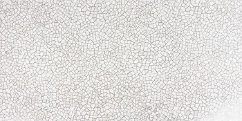 Фото RAK Ceramics плитка Rocket White 60x120