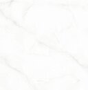 Фото Megagres плитка Carrara Glorious White 60x60