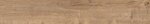 Фото Allore Ceramica плитка Etna Beige Mat 20x120