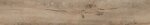 Фото Allore Ceramica плитка Forest Beige Mat 20x120