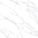 Фото Allore Ceramica плитка Lazzaro Pearl 59.5x59.5