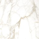 Фото Golden Tile плитка напольная Terragres Imperial белая 59.5x59.5 (3G0500)