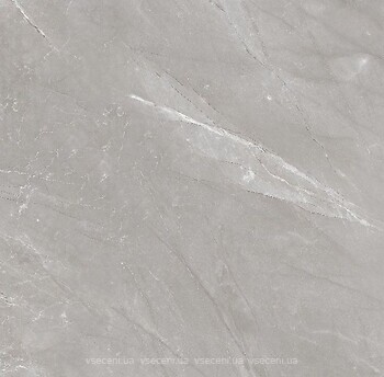 Фото Ceramica Santa Claus плитка Venezia Grey Polished 60x60