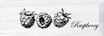 Фото Monopole Ceramica декор Laguna Fruit Raspberry 10x30