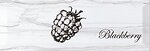 Фото Monopole Ceramica декор Laguna Fruit Blackberry 10x30