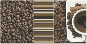 Фото Ceramika Paradyz декор Vivida Inserto Cofee B Bianco 30x60