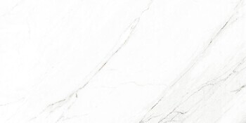Фото Arcana плитка Les Bijoux Nagoya-R Blanco Polished 59.3x119.3