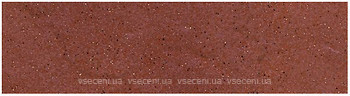 Фото Ceramika Paradyz плитка фасадна Taurus Elewasja Rosa 6.58x24.5