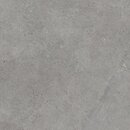 Фото My Way Paradyz плитка Authority Grey Mat 120x120