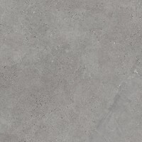 Фото My Way Paradyz плитка Authority Grey Mat 120x120