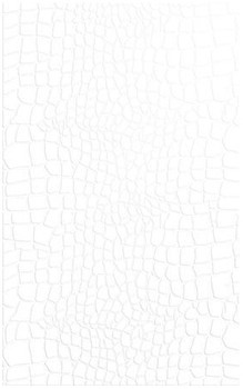Фото Golden Tile плитка для стін Кайман біла 25x40 (До40051)