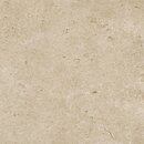 Фото Marazzi плитка Caracter Greige 60x60 (M97H)