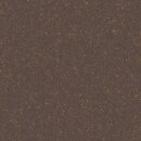 Фото Rako плитка Linka Brown Black 60x60 (DAK63826)