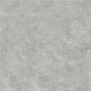 Фото Kale плитка підлогова Fiore 60x60 Grey (GS-D7625R)