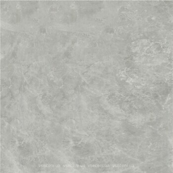 Фото Kale плитка підлогова Fiore 60x60 Grey (GS-D7625R)