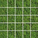 Фото Ceramika Konskie мозаїка Parma Mosaic Green Moss Mosaic 24.8x24.8