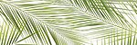 Фото Ceramika Konskie декор Brennero Tropic Inserto Ceram 50x75
