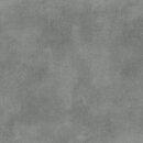 Фото Cersanit плитка підлогова Silver Peak GPTU 603 Grey 59.3x59.3 (TGGR1015964937)