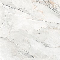 Фото Geotiles плитка Sauvage Pearl Natural Rect 120x120