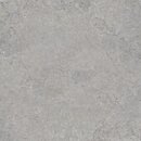 Фото Porcelanosa плитка Hanover Topo 60x60 (100310932)