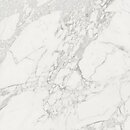 Фото Porcelanosa плитка Dolomiti White Brillo 59.6x59.6