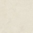 Фото Porcelanosa плитка Durango Bone 59.6x59.6