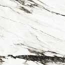 Фото Porcelanosa плитка настінна Paonazzo Biondo Pol 120x120
