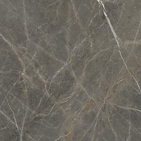 Фото Golden Tile плитка підлогова Stone Roots коричневий 60x60 (SO7520)