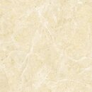 Фото Inspiro Ceramica плитка Spain Beige 60x60 (AT6902)