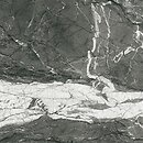 Фото Navarti плитка Moluka Negro 120x120