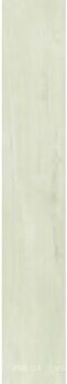 Фото Ragno ceramica плитка підлогова Woodpassion Ice 15x90 (R2El)