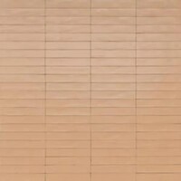Фото Ragno ceramica плитка настінна Wish Petal 5.3x30 (Rcgc)