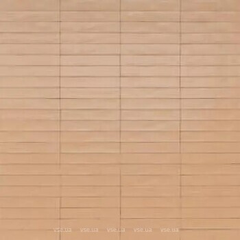 Фото Ragno ceramica плитка настінна Wish Petal 5.3x30 (Rcgc)