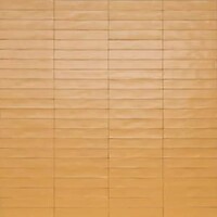 Фото Ragno ceramica плитка настінна Wish Yellow 5.3x30 (Rcgd)