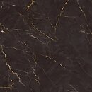 Фото Ceramika Paradyz плитка Carrastone Black Szkl Rekt Mat 59.8x59.8