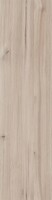 Фото Allore Ceramica плитка Elma Beige F PR R Mat 22.5x90